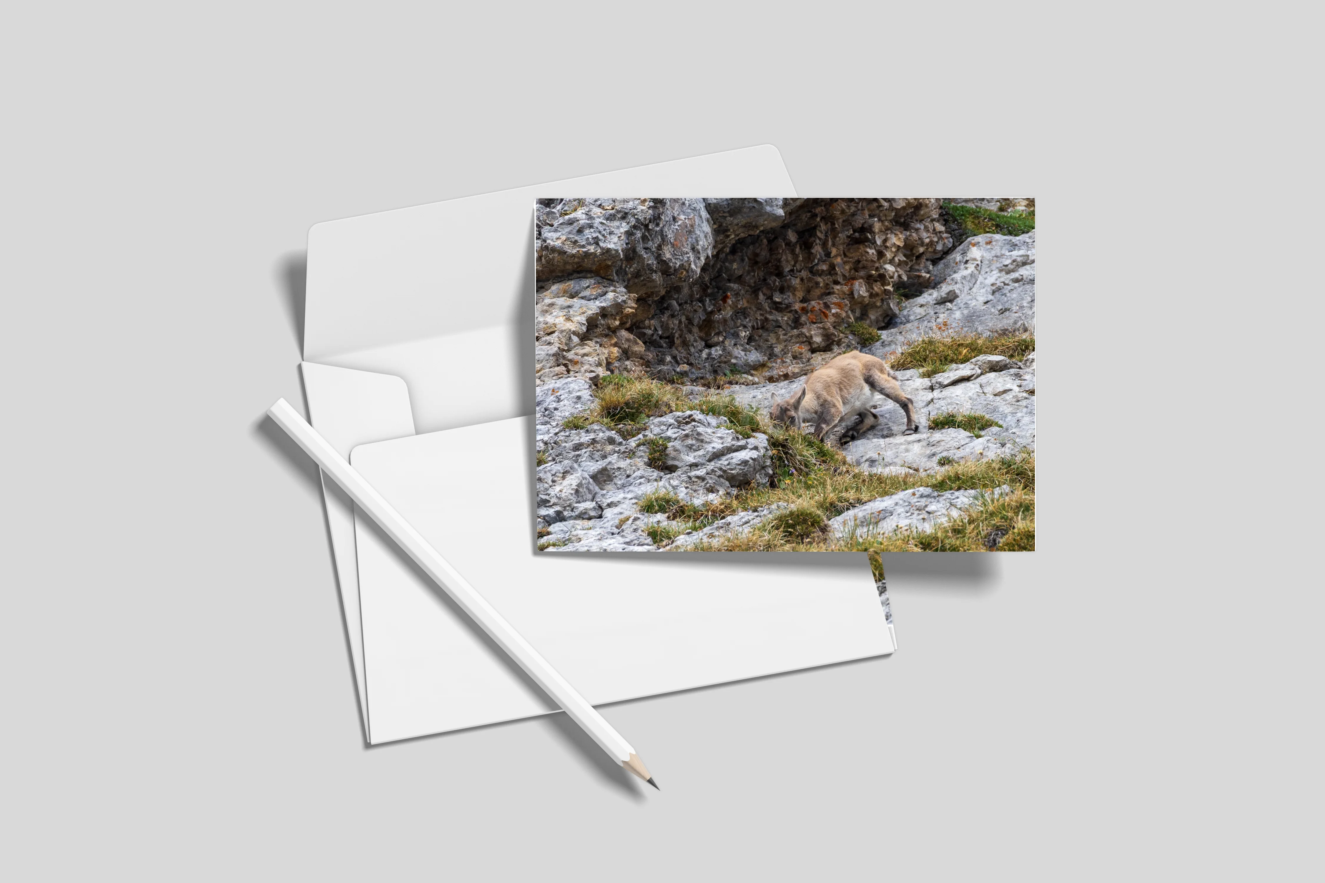 Postkarten 10er-Set (ohne Umschläge) DL 9.9 x 21 cm)