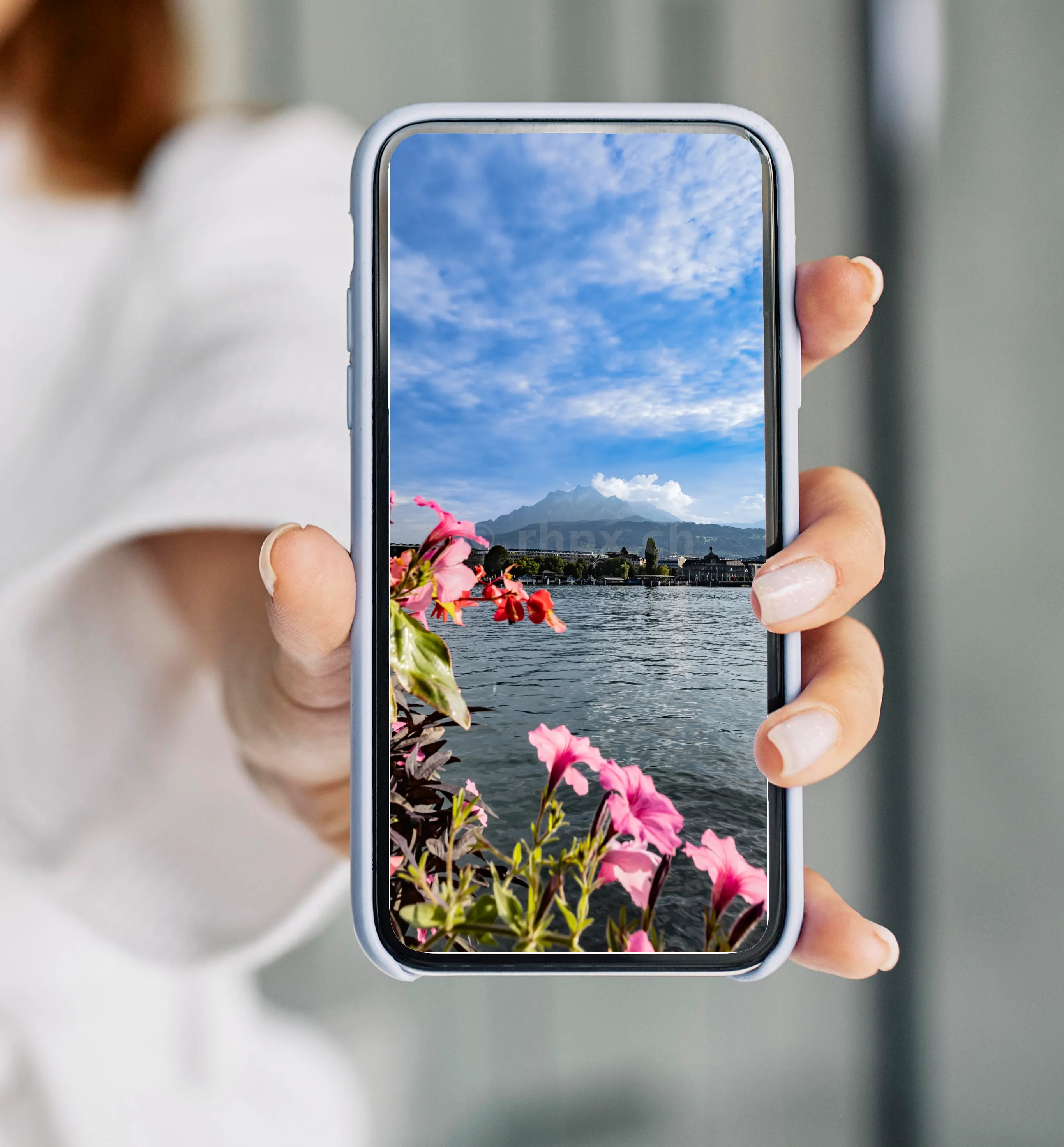 Lake Lucerne with flowers and Mount Pilatus
