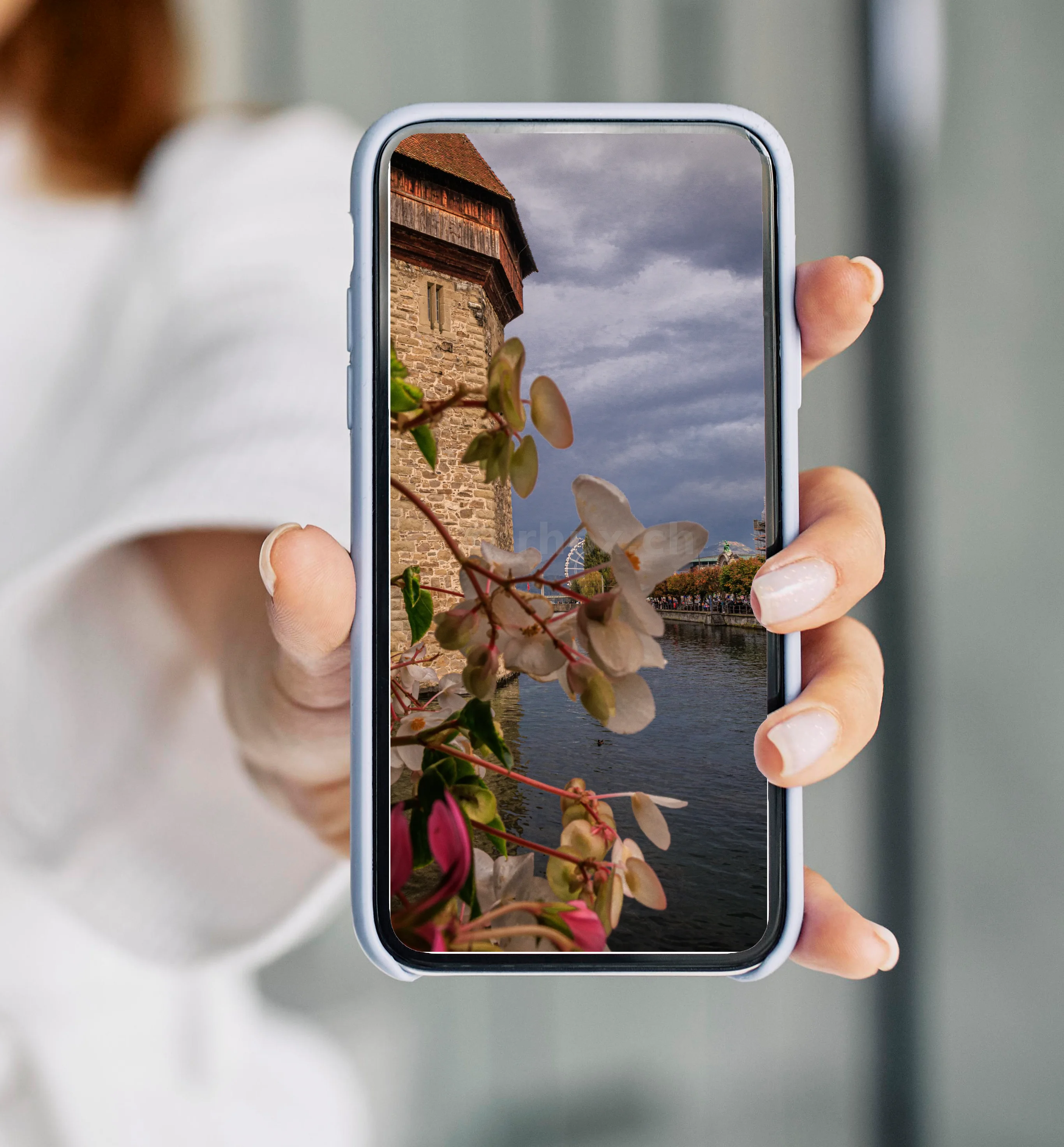 Wasserturm mit Blumen am Ufer der Reuss
