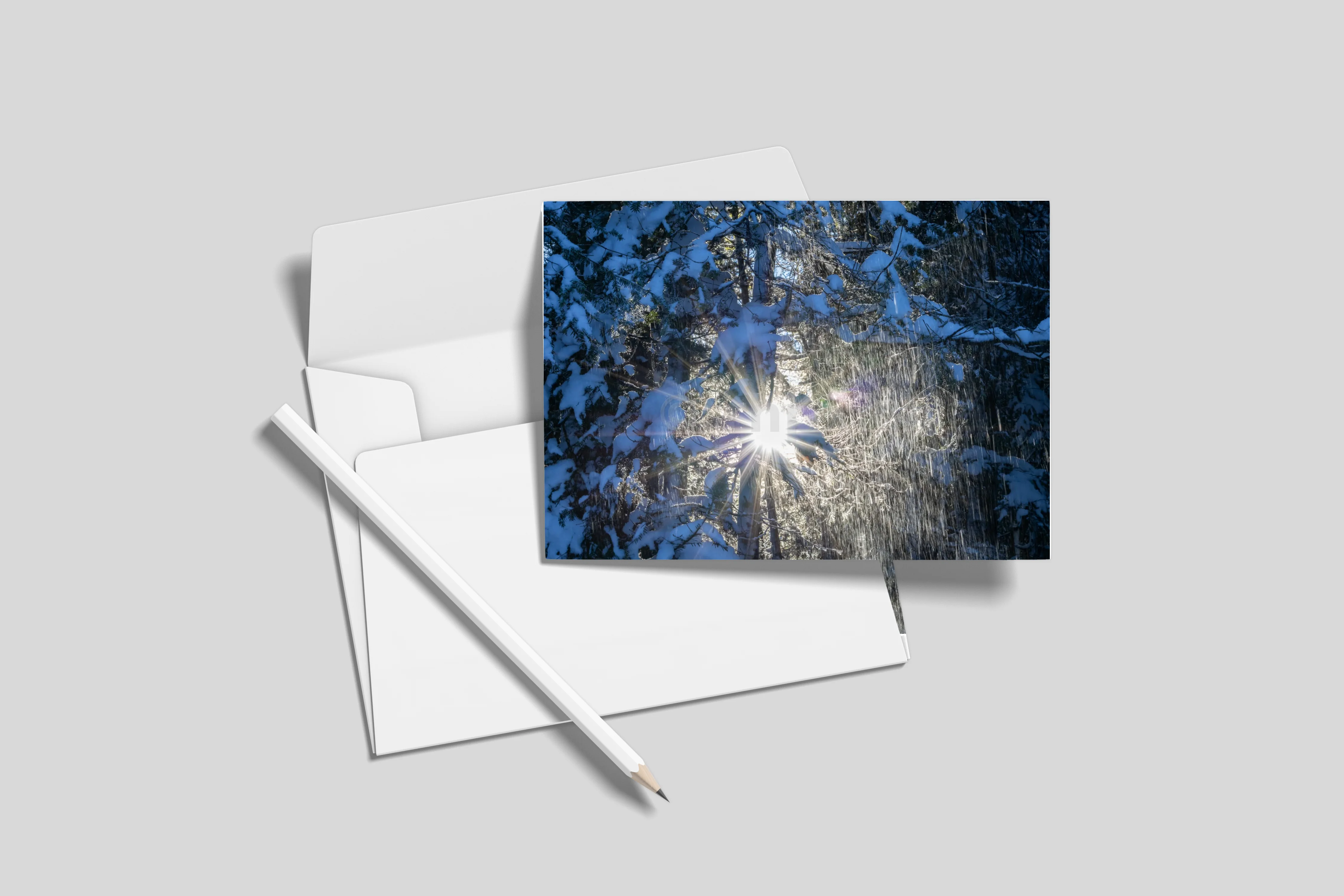 Postkarten 10er-Set (ohne Umschläge) DL 9.9 x 21 cm)