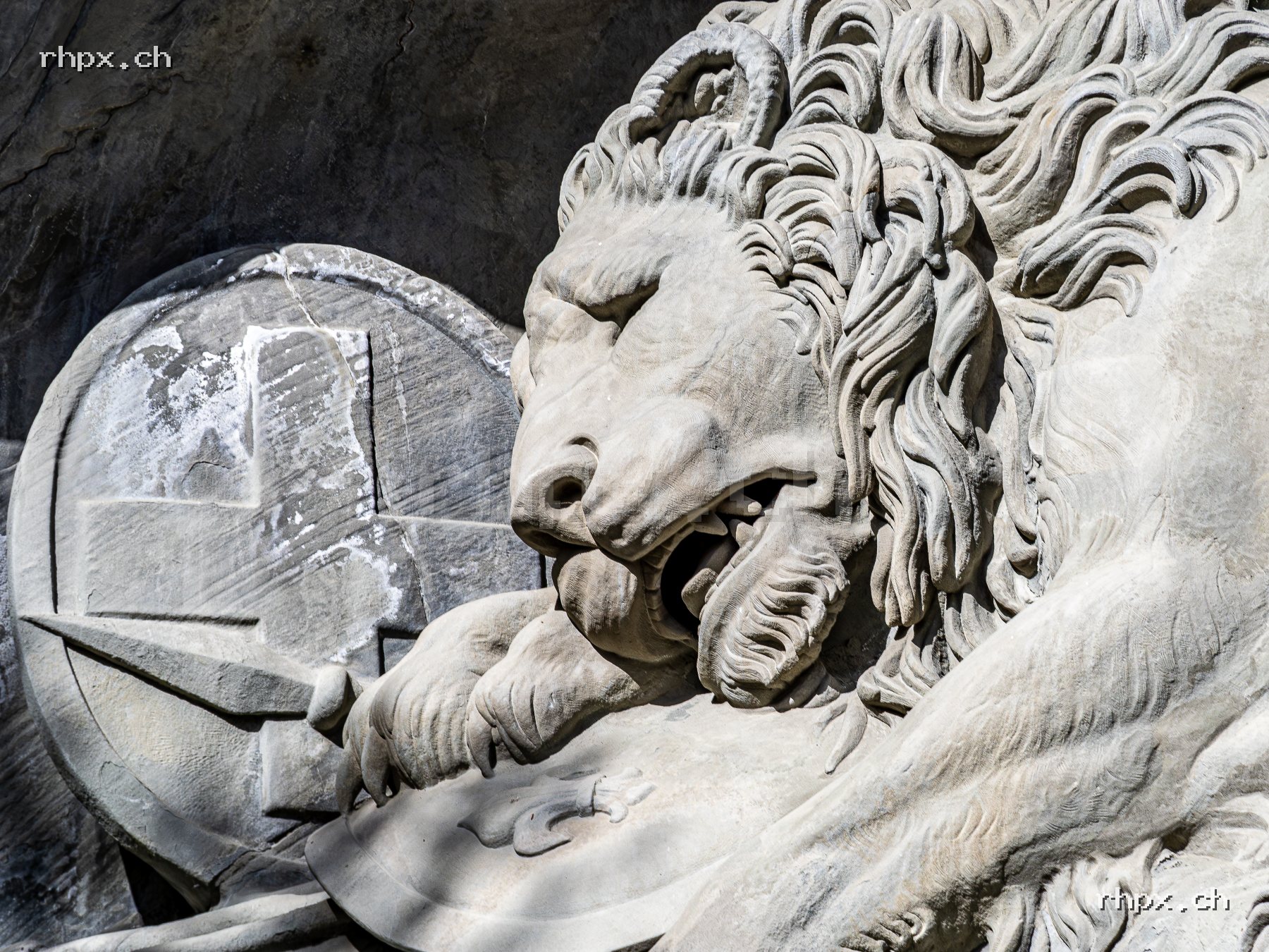 Current image of the month selection: Löwendenkmal Luzern – Detailaufnahme