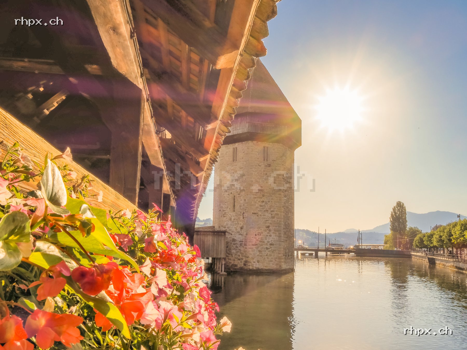 Aktuelle Auswahl Bild des Monats: Kapellbrücke Luzern im Sommerlicht